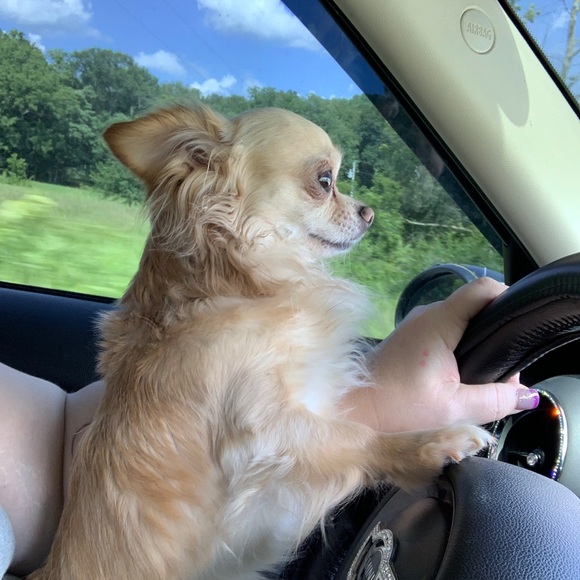 Meet your Posher, Genji - Picture 11 of 16